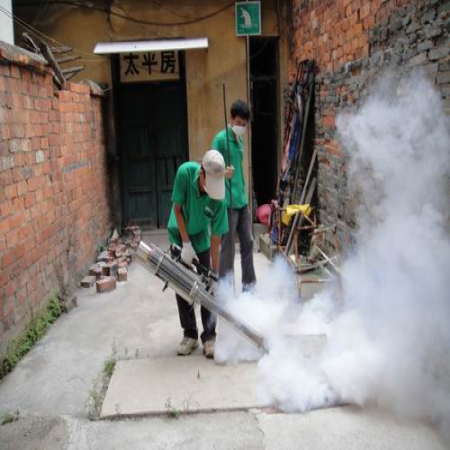 江門新建房屋白蟻防治 江門新建房屋白蟻防治