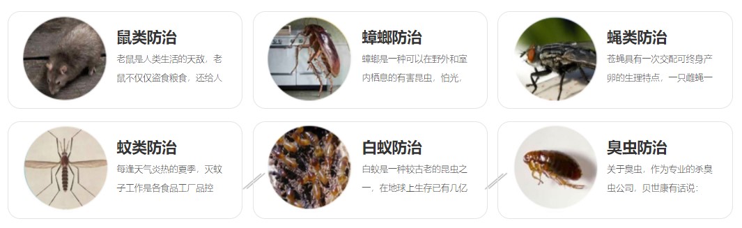 1581924250422959.jpg 12056511_子頁面banner.jpg