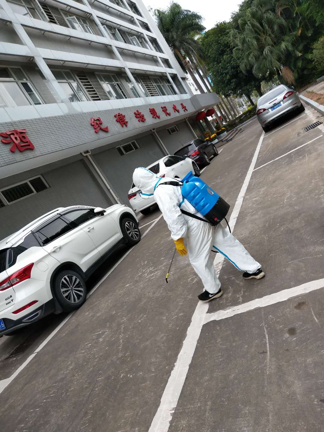 中山殺蟲 中山殺蟲