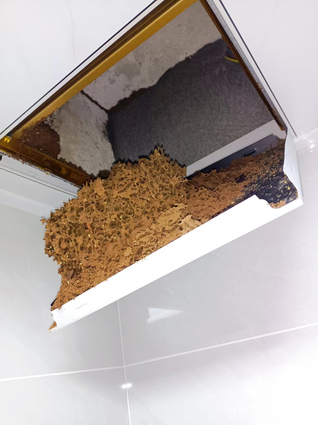 1711976309106236.jpg 1711976309106236.jpg